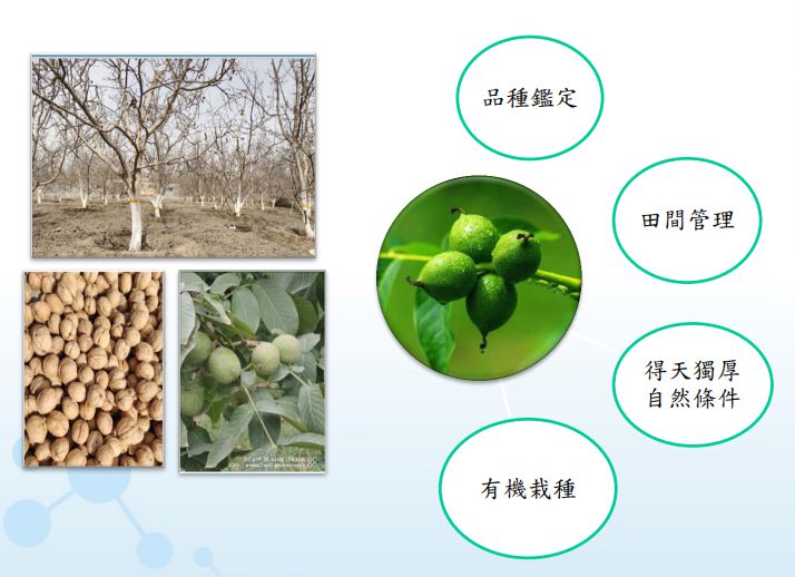 附件3農(nóng)場溯源1.jpg